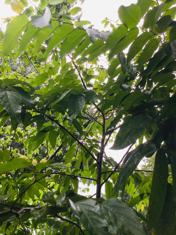 9F6EE990-B91F-4059-8775-6F0982C58BC5