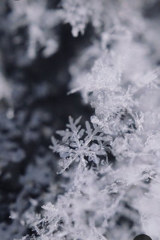 Screenshot_20231006_214526_Pinterest