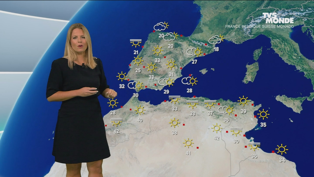 06.06 - 17.20.50.ts_snapshot_08.02.299