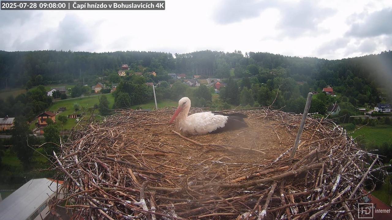 Tiešraide no KARA uzņēmuma stārķu skursteņa Bohuslavicē netālu no Trutnovas 12-51-4 screenshot