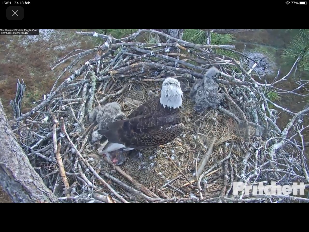 91ED651B-66A2-4F3C-B4B0-336BE49AEFAB