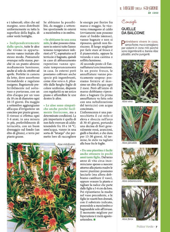 Pol Ver Mag 2022 (2)