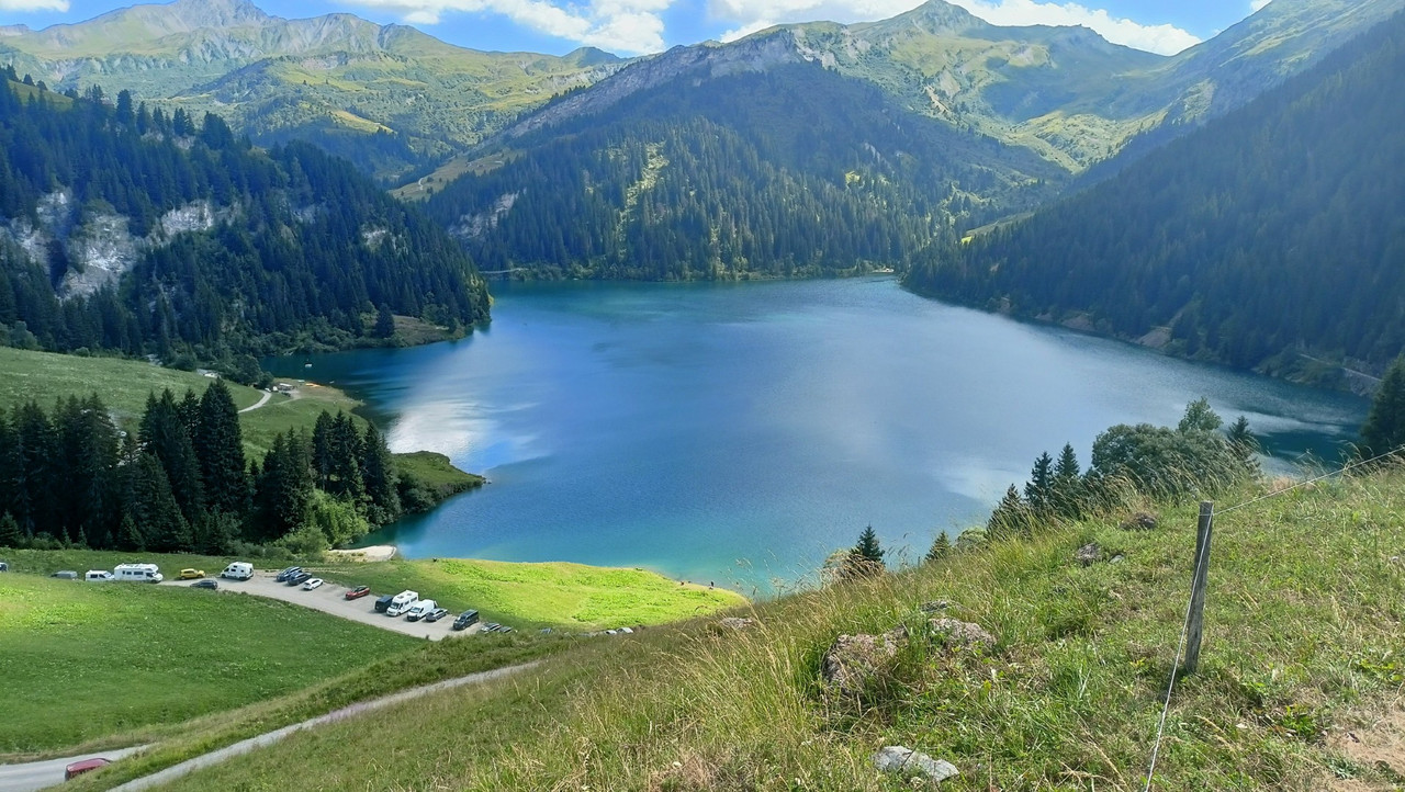 IMG20250717162921 (Large)