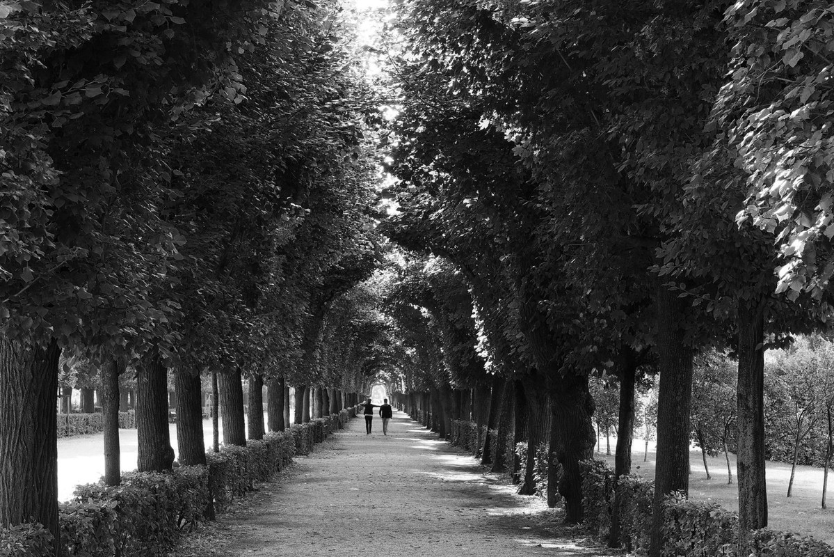 blacknwhite-walk.jpg