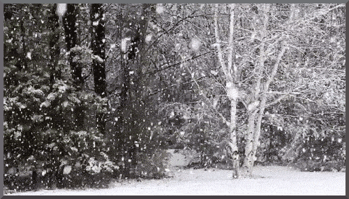 NIEVE1