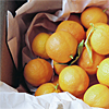 Stock-Icons-(772)