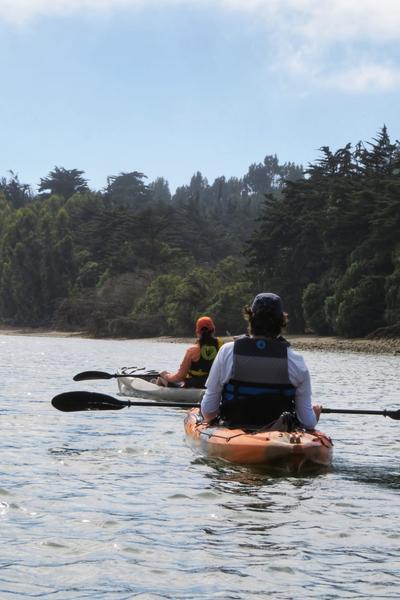 Kayakistas remando junto a la orilla arbolada del río Rapel