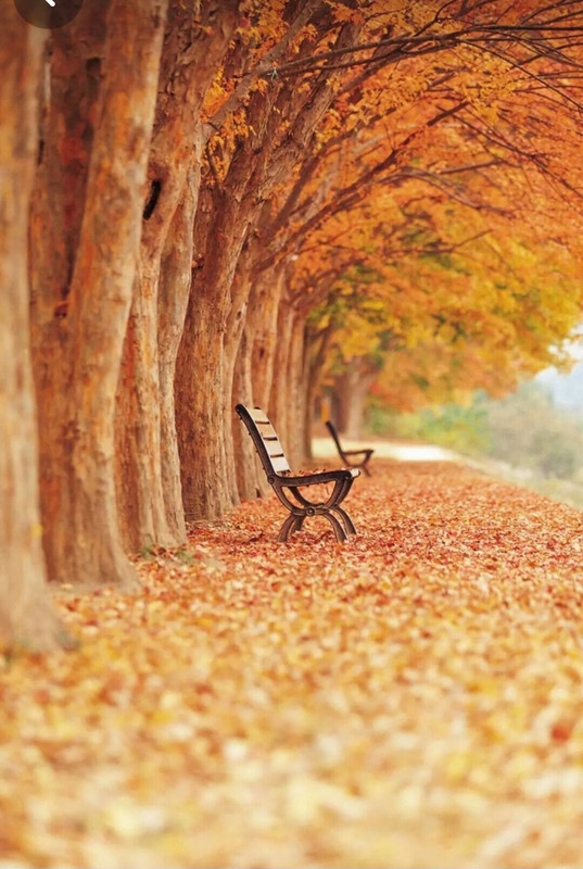 Screenshot_20231217_214034_Pinterest