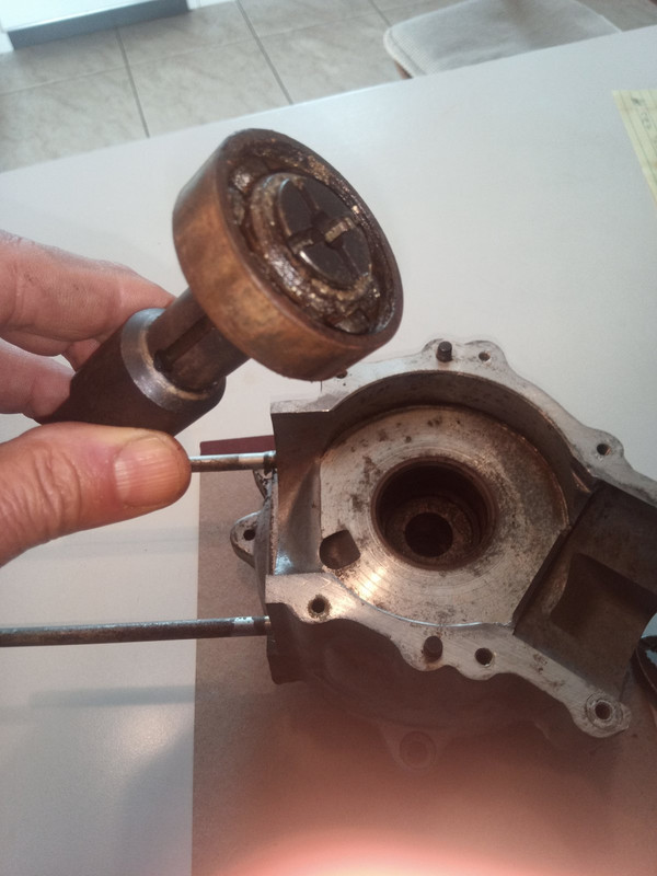 IMG_20240103_131959_016