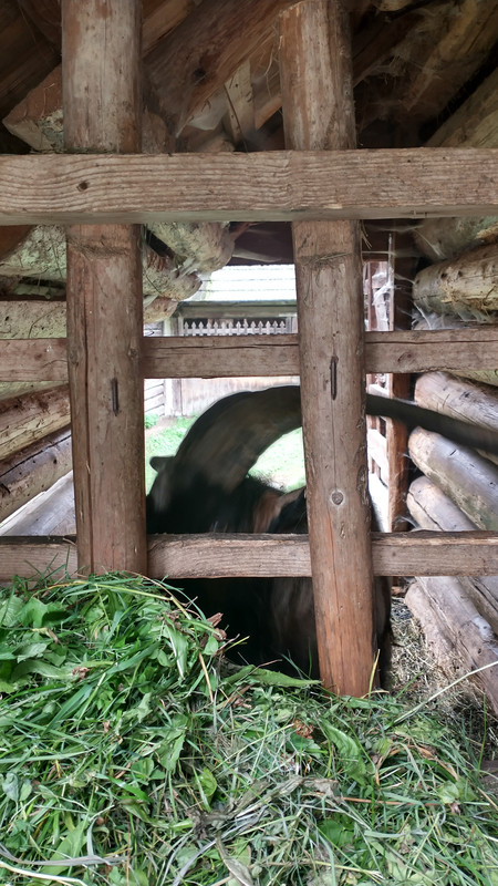 IMG_20230915_121117814_HDR