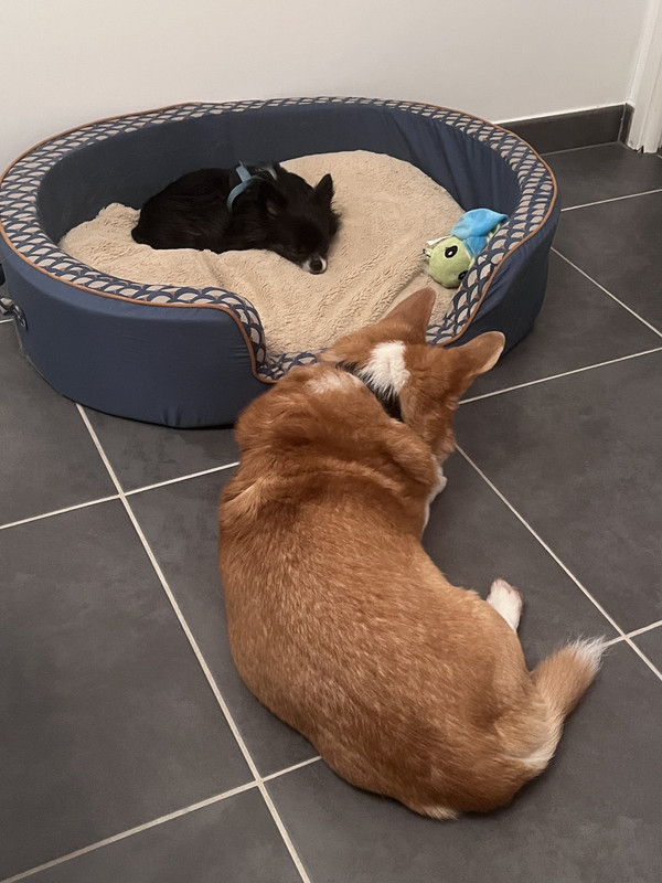 [Image: A101-CEA1-DD4-A-49-B5-B908-9-AFD0-AC78-DAE.jpg]