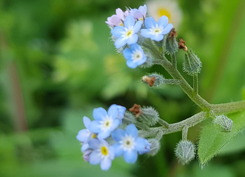 [Image: 20200422-121940.jpg]