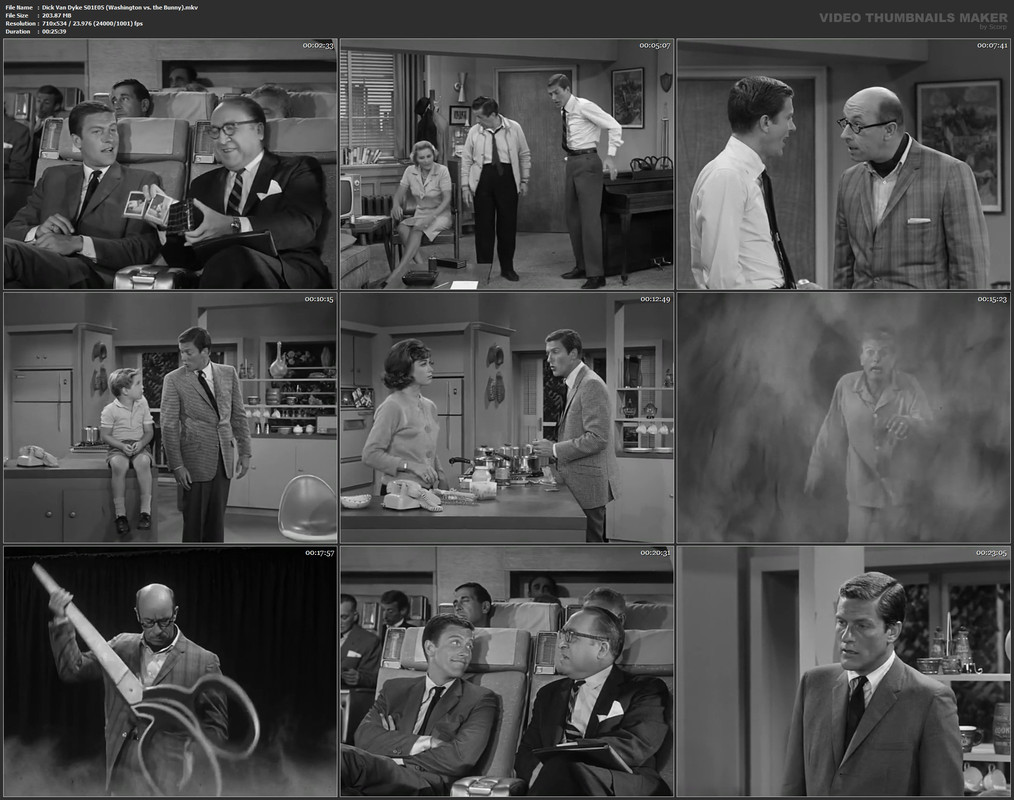 Dick Van Dyke S01E05 (Washington vs. the Bunny).mkv
