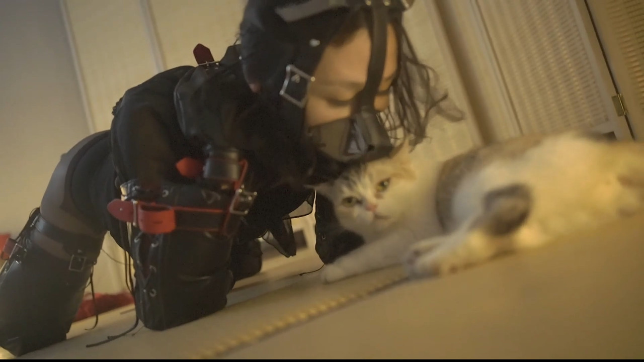 面具男 面具女登场.mp4_20250130_185305.575