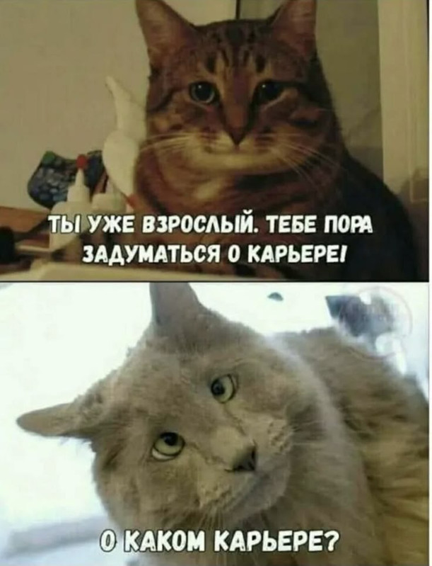 3077815086ddd745c4167eac403e86ee