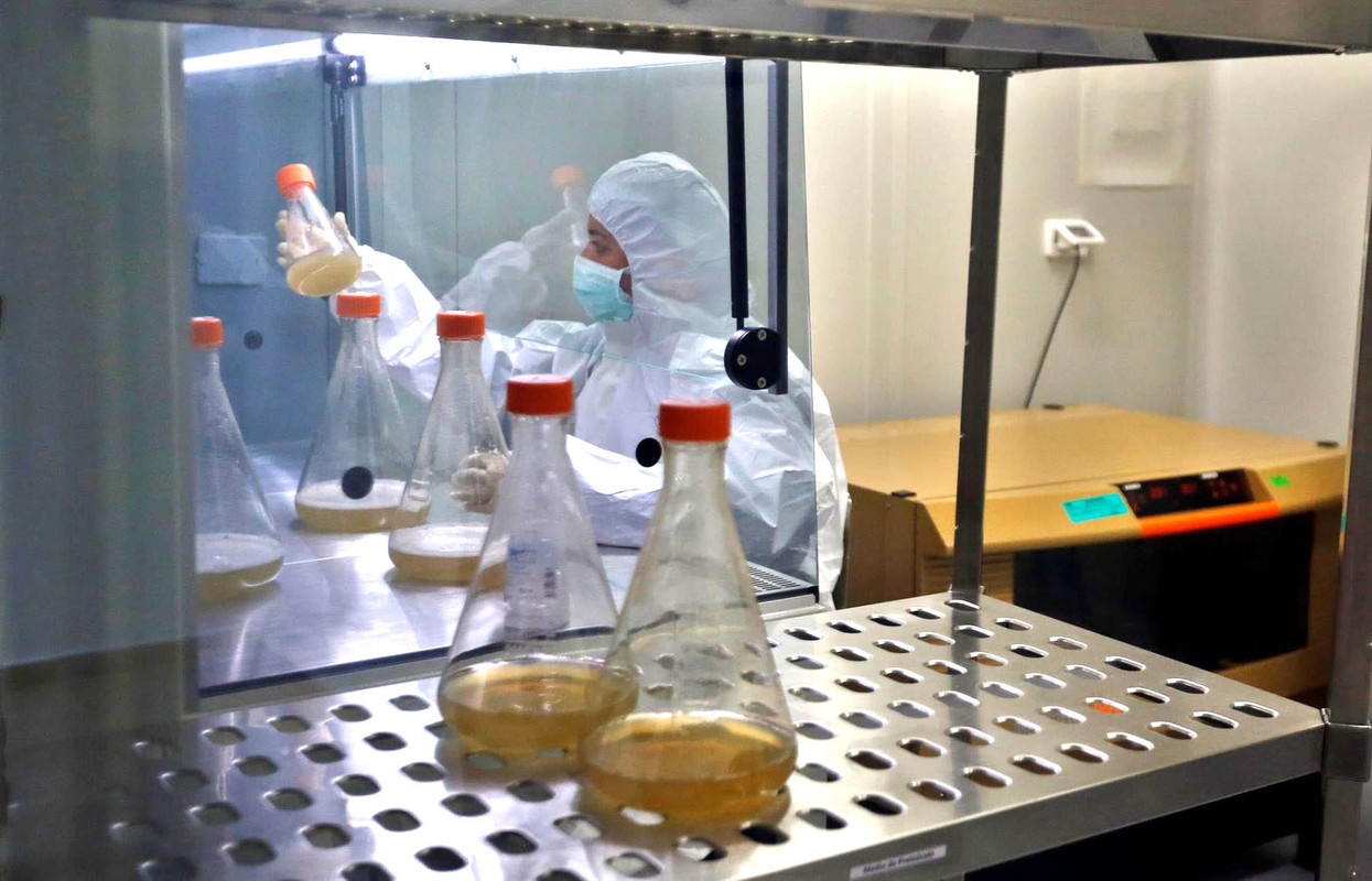 Así funciona Molnupiravir, tratamiento contra el COVID-19