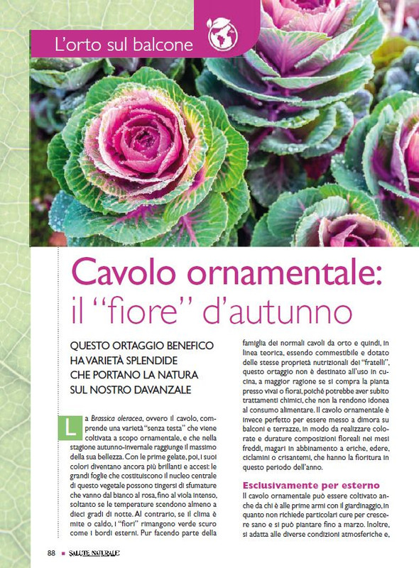 Sal Nat  Nov 2022 (11)