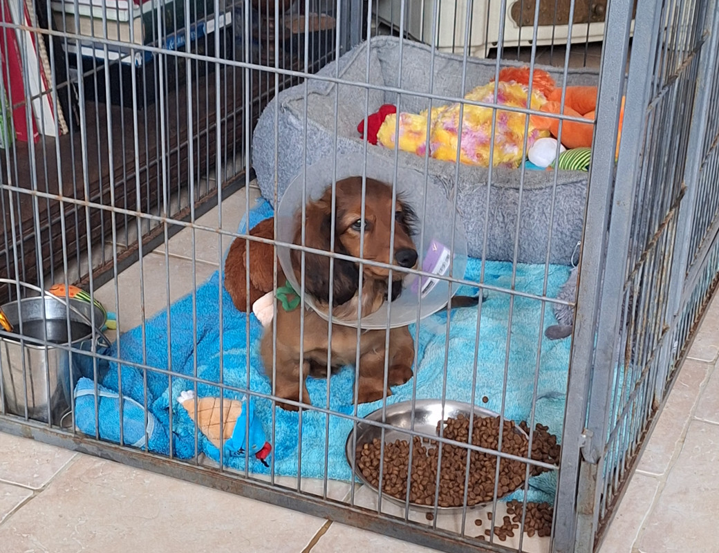 [Image: 20240922-133437.jpg]