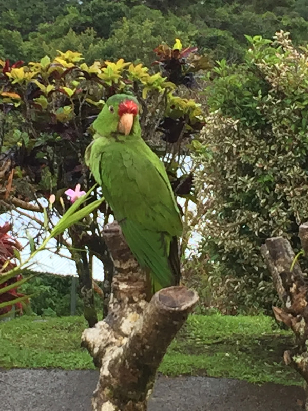 A8ECB841-C4B3-4408-9B59-2FD9582D7F09