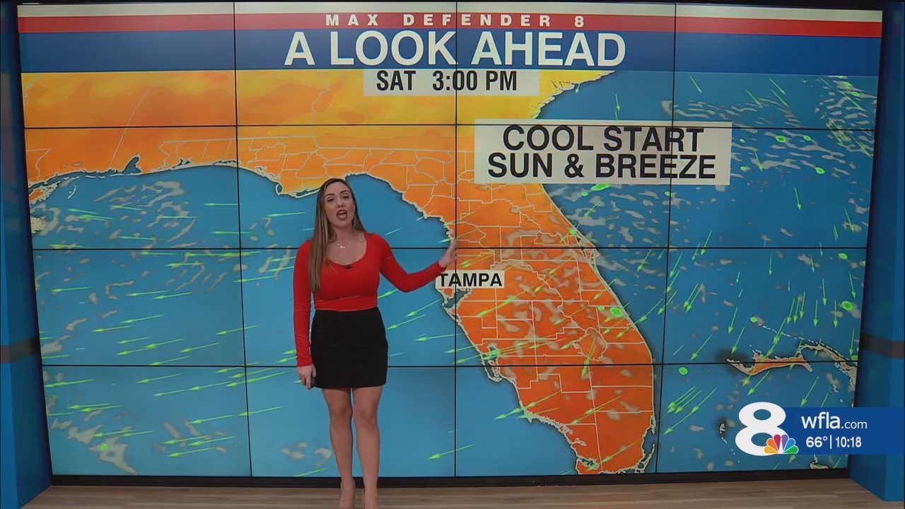 NewsChannel 8 News at 1000pm_20241116_03000330.ts_snapshot_18.53.769