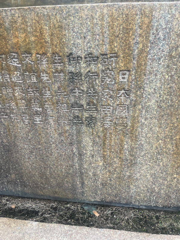 IMG 0006