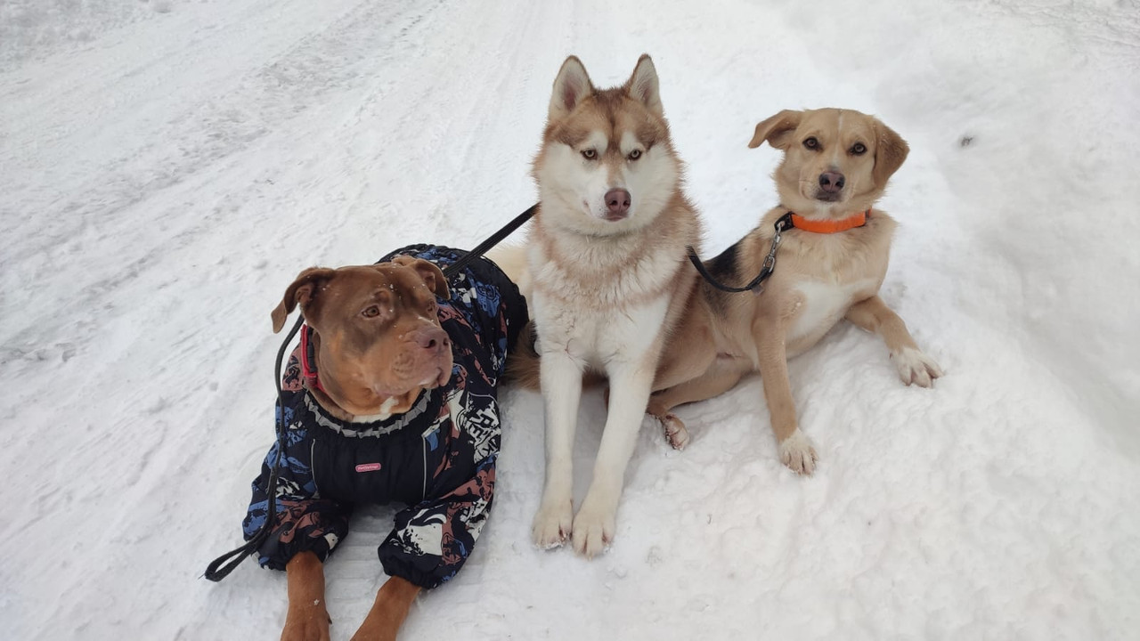 5DC0B654-6041-4E21-8628-08C8A5AB07C9