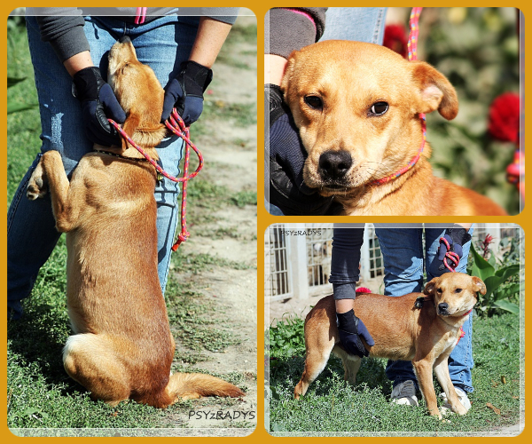 BeFunky-collage (26)