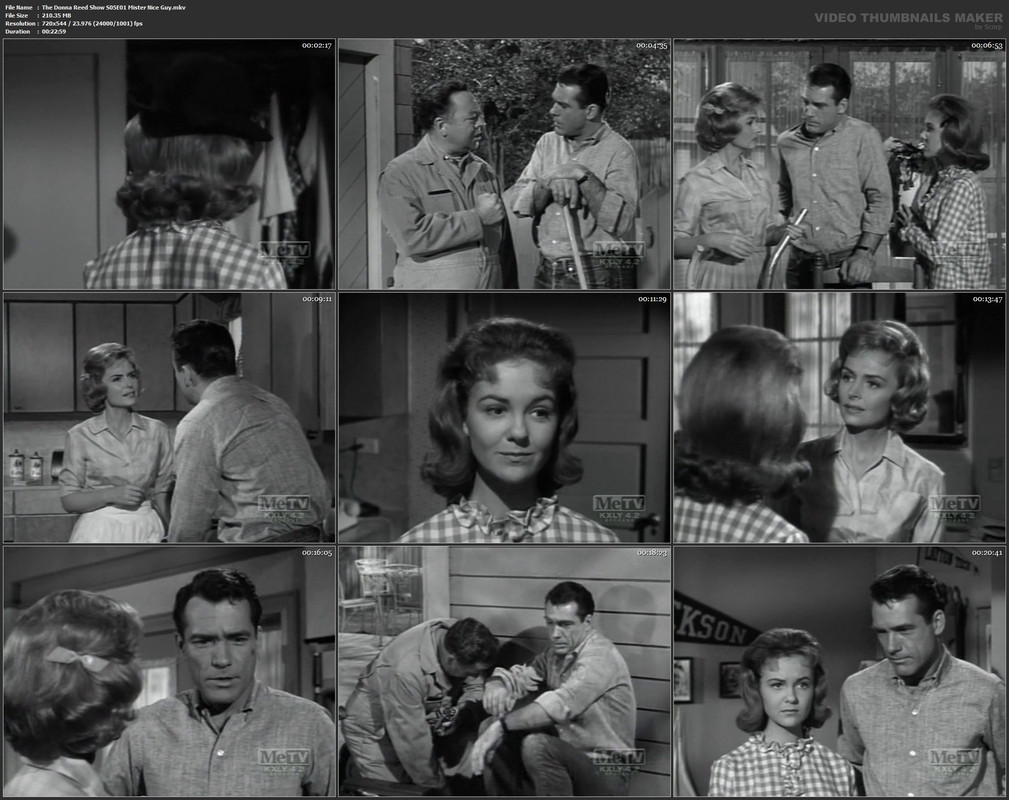 The Donna Reed Show S05E01 Mister Nice Guy.mkv