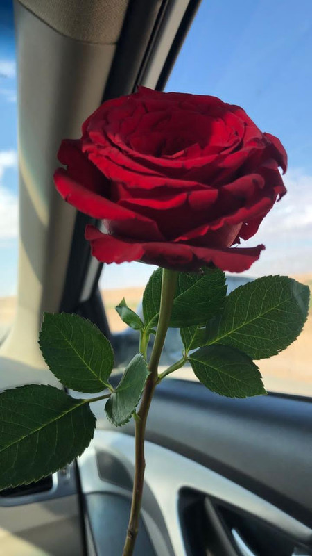 5BE03664-6C1B-41AD-B6FD-BAD3B507EF31