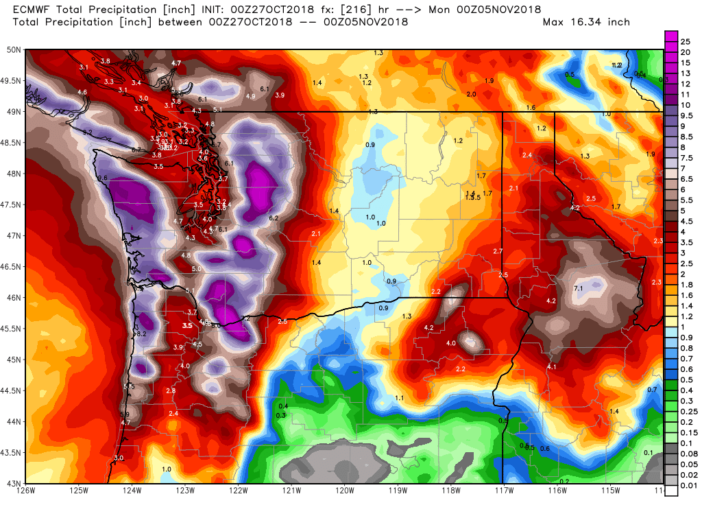 ecmwf-tprecip-washington-37.png