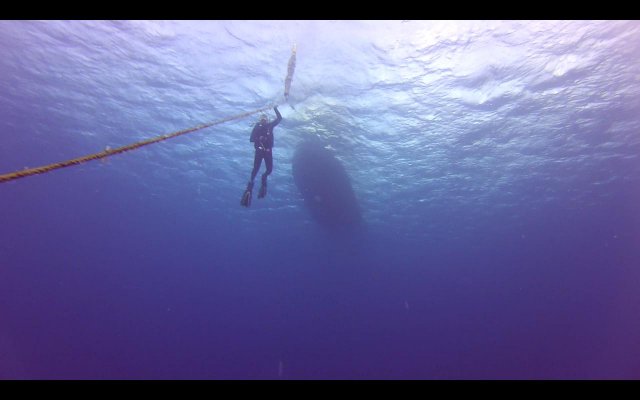 Buceo en "18 Palms" y Hilma Hooker. Relax. - BONAIRE - Buceo+ Snorkel + Relax (2)