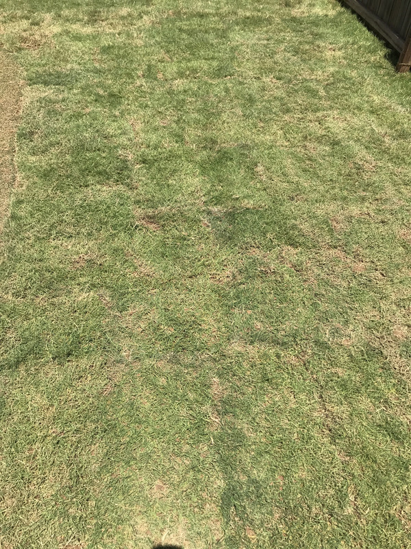 3B034FEC-75EC-4553-8E04-07E25C917B62