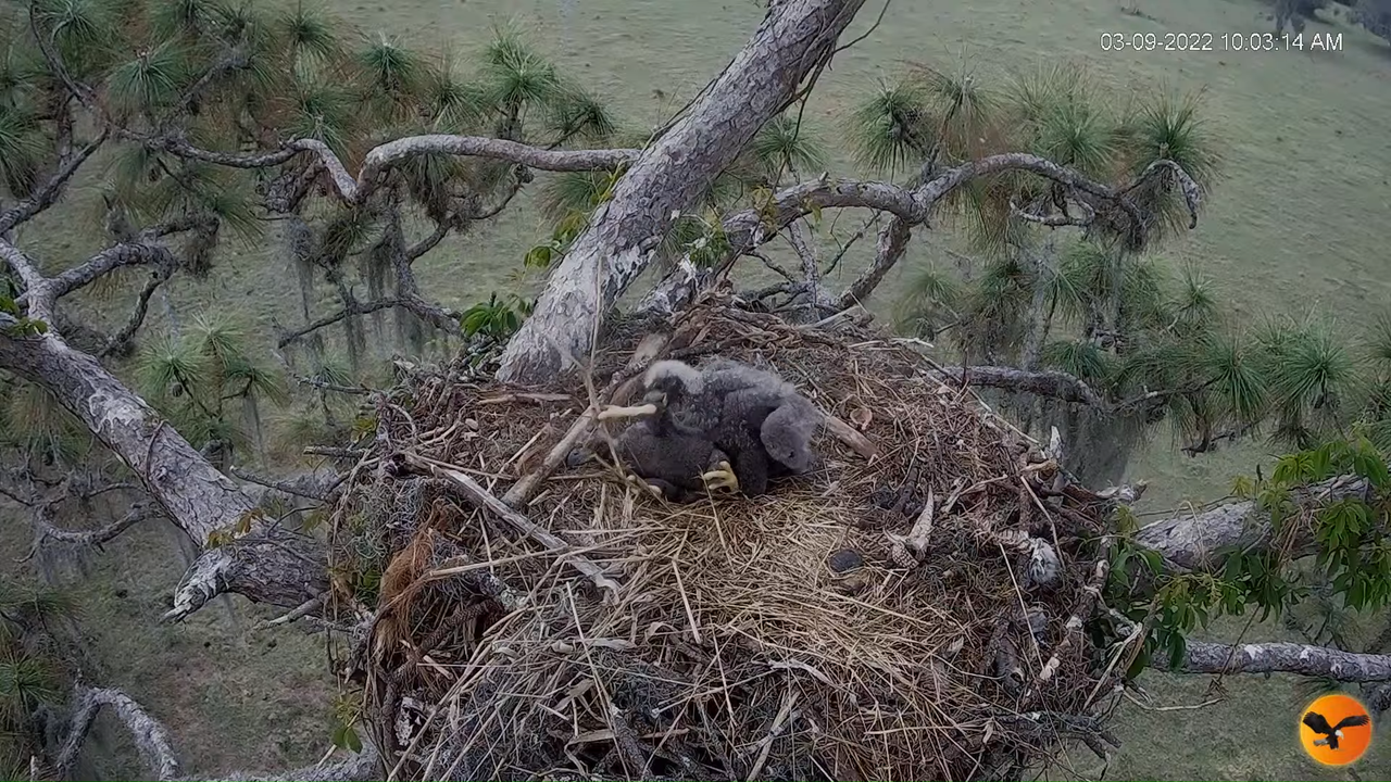 EC 4K Overhead Cam 13-25-50 screenshot