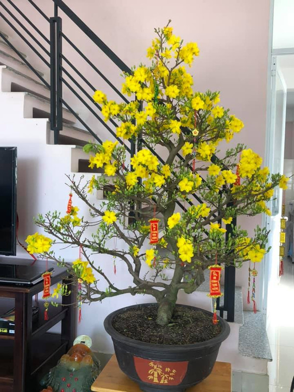 F3D1DA95-234E-4B0E-8A16-C13B4C3D8B39