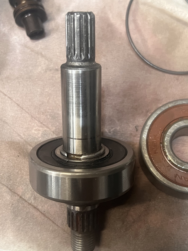 IMG_4501