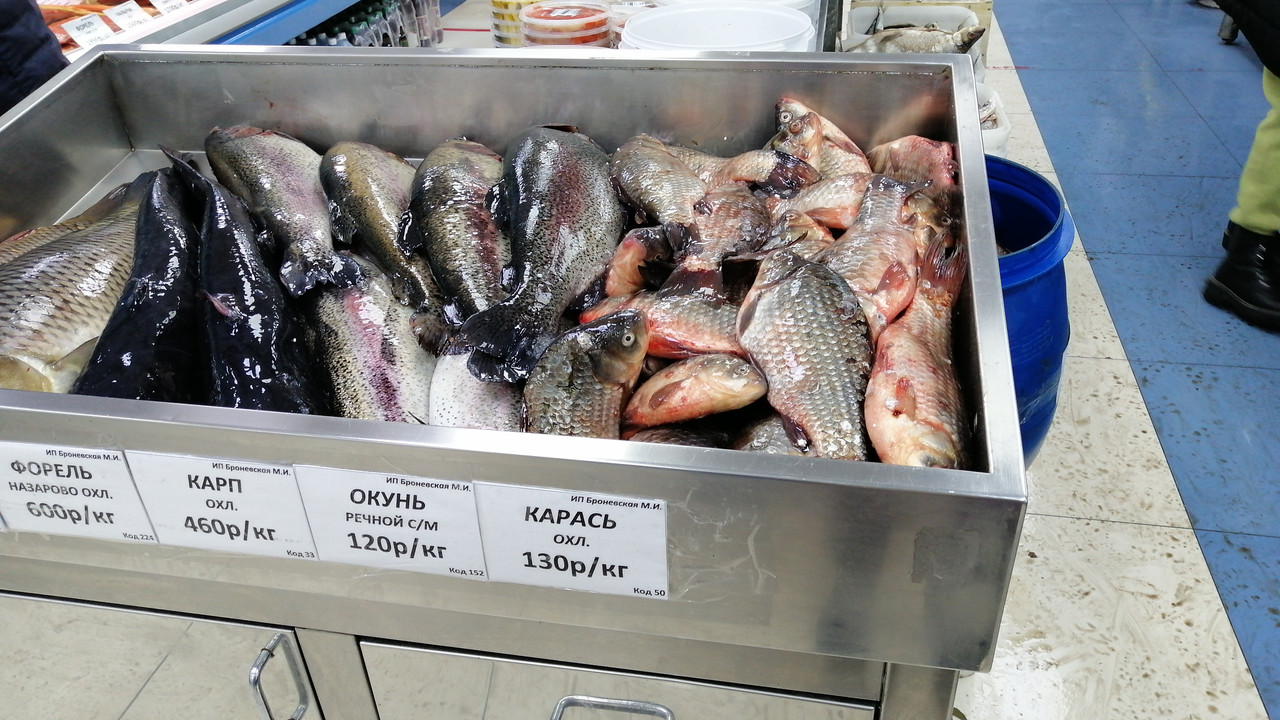 IMG-7a284b6b2d867eefdb24df3c0171ec76-V