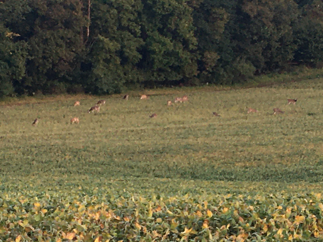 660F7B16-DAE4-43F5-8A6D-C174656DF0BE