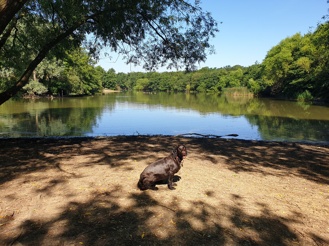 2964E3EE-D94F-4945-918B-71A23B7A5194