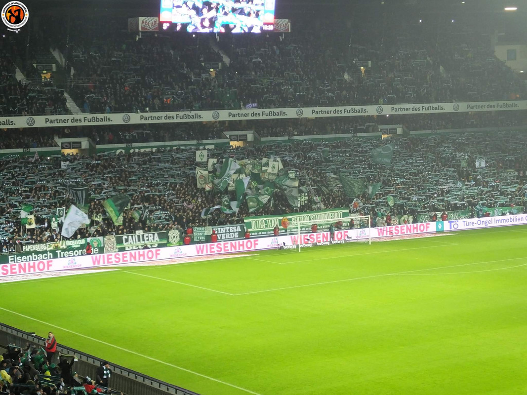 50688982_2425563787518722_3301728848642572288_o