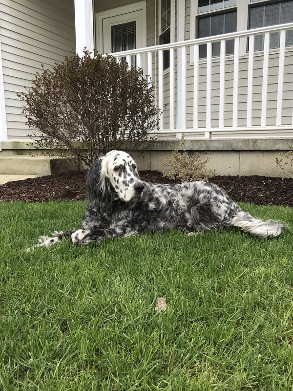 4C05450D-13FC-4398-8835-1C63A7FFC735