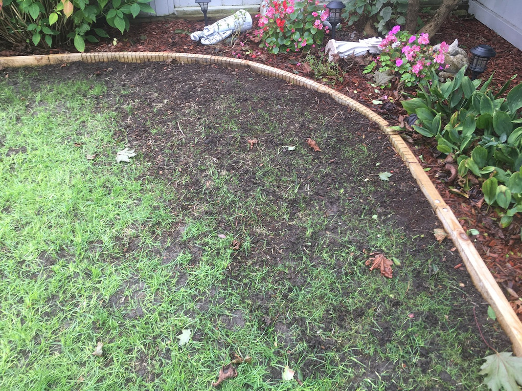 2017_Backyard_Reno_Day_36_Problem_2_small