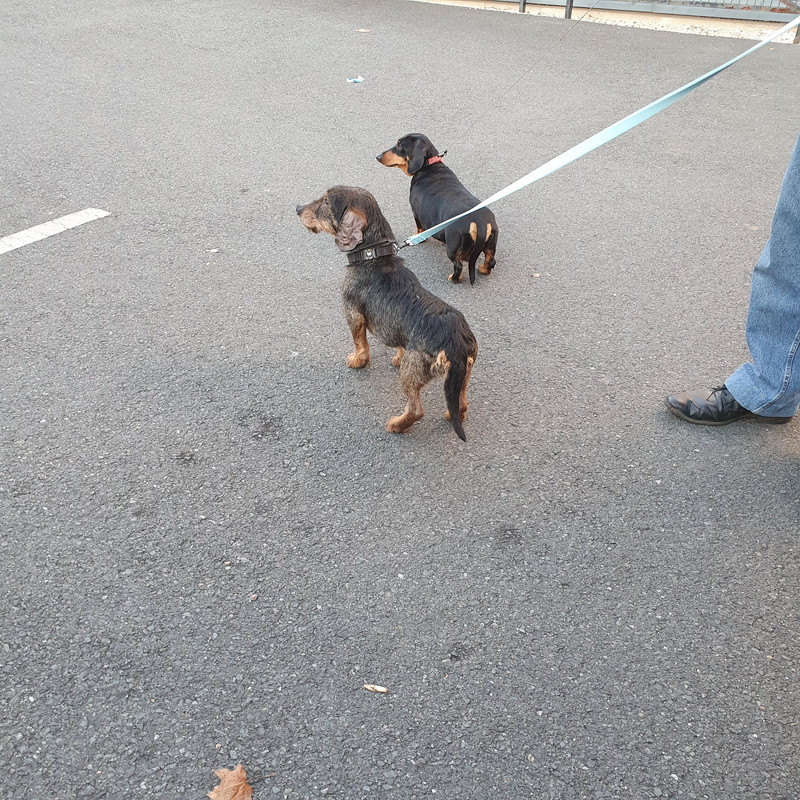 [Image: 20211110-165030.jpg]