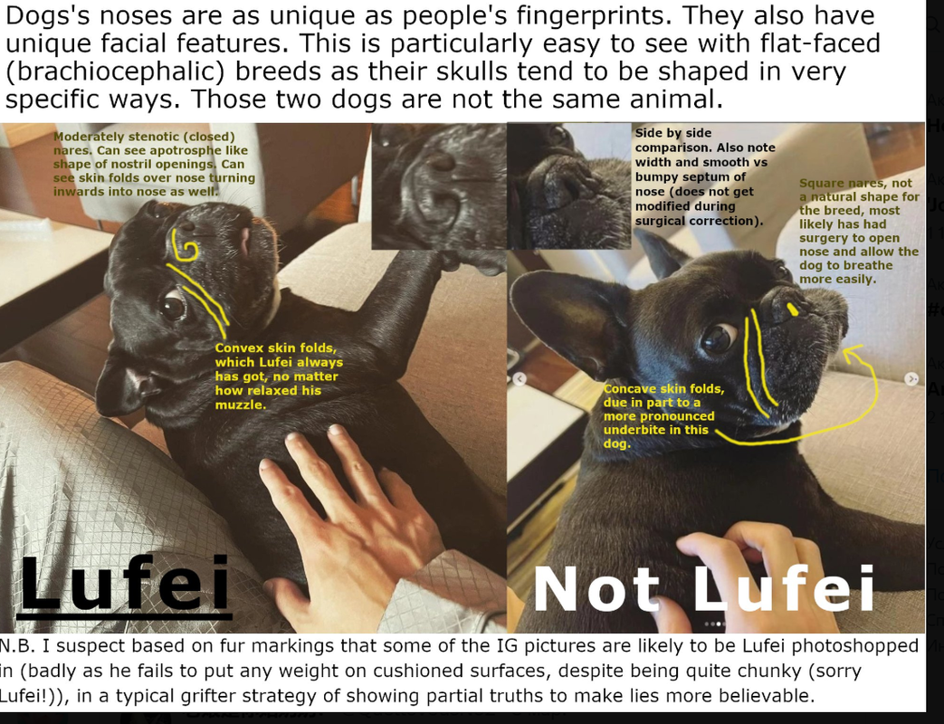 изображение_2025-03-06_202949612