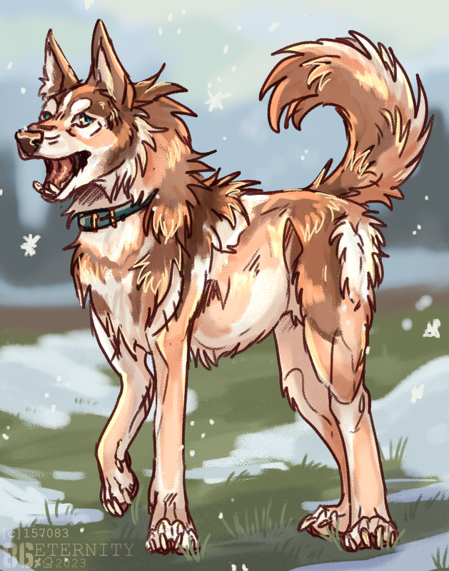 WP-Husky-art-299820-copy.png