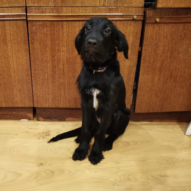 F4E3F480-4183-4A18-89BD-C576F0581635