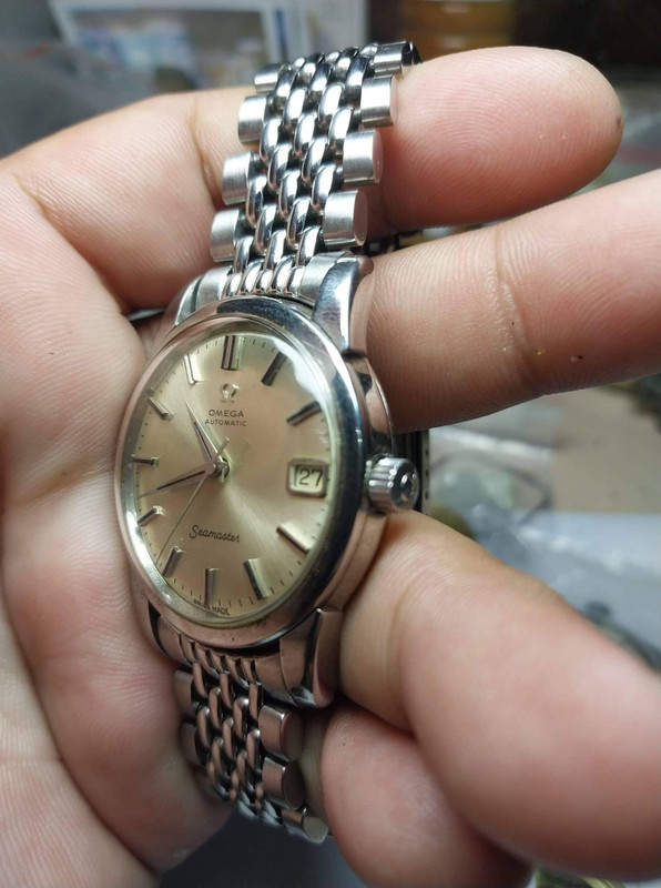 274855461_446515480691162_2582640550281359325_n