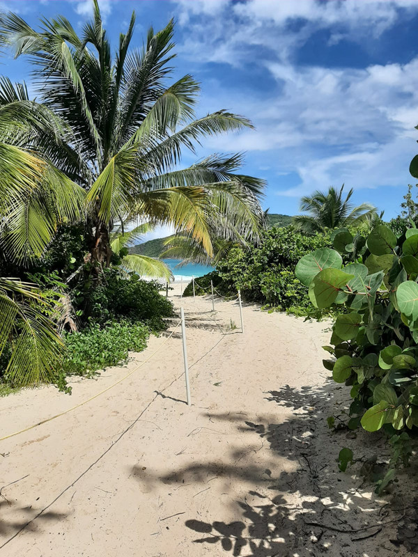 519171FF-29D8-4328-B167-BD275F89B298