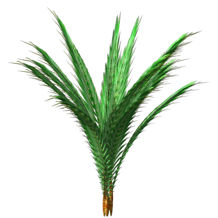 e79