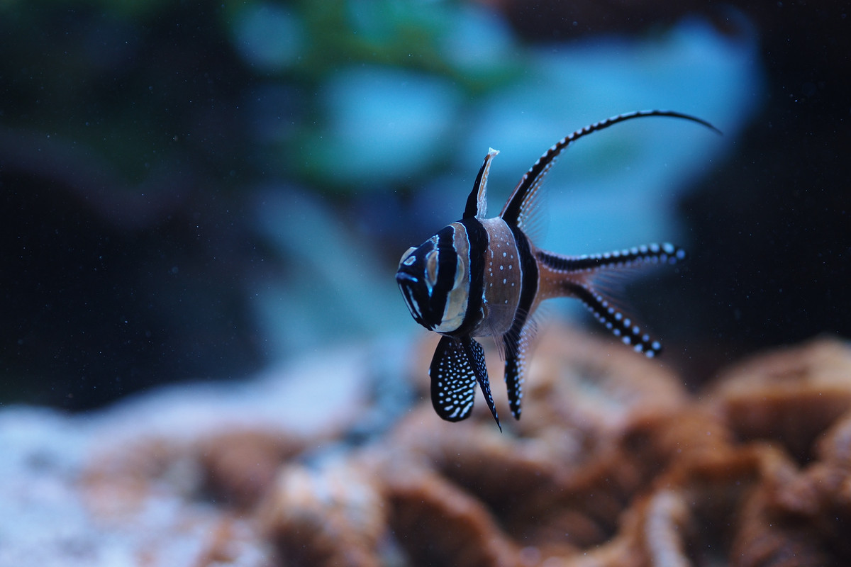 5C325CB1-B128-44FB-90B5-94DDEEF56B66