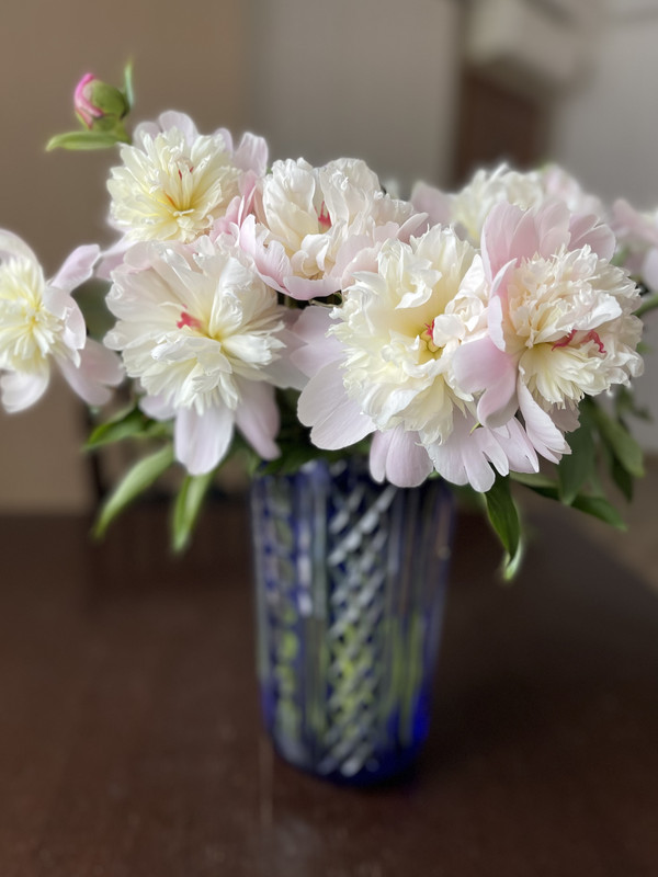 6AC53259-761A-47AC-839B-CE7416127400